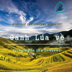 GÁNH LÚA VỀ (Hoanglee Remix)