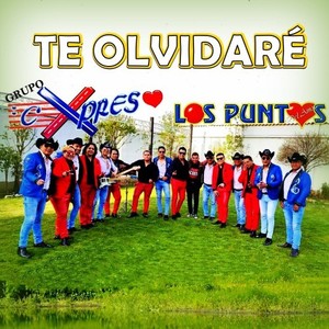 Los Puntos del Amor - Te Olvidaré