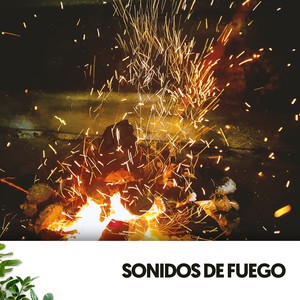 Sonidos de Fuego: A Musical Blaze of Emotions