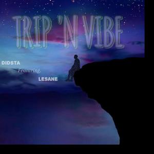 Trip N Vibe (Explicit)