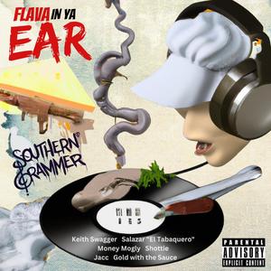 Flava In Ya Ear (Explicit)