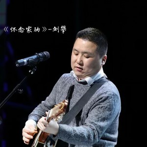 怀念家驹