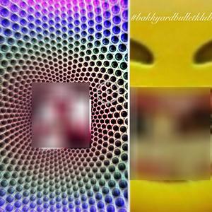 lsdon315 (feat. bug.z0) (Explicit)