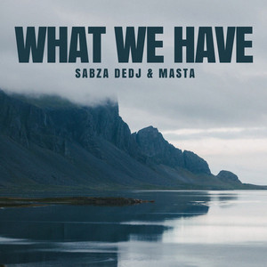 What We Have