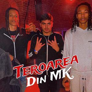 TEROAREA DIN MK (Explicit)