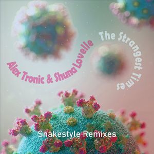 The Strangest Times (Snakestyle Instrumental Mix)