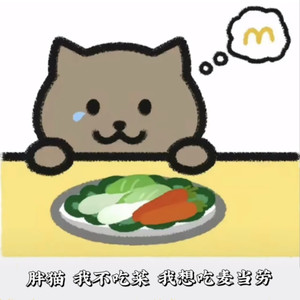 胖猫 (纯音乐)