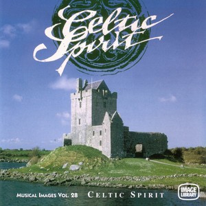 Ireland Shore