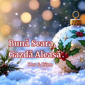 Bună Seara, Gazdă Aleasă