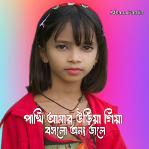 Pakhi Amar Uriya Giga Boslo Anno Dale