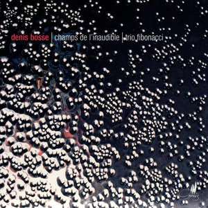 Le chant du funambule: Variation 17 - Variation 24