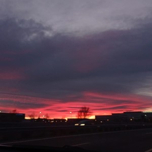 voices in my mind(feat. Toms White)