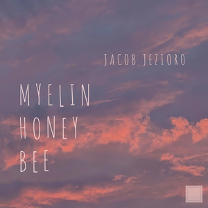 Myelin Honey Bee