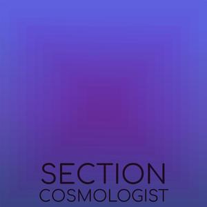 Section Cosmologist