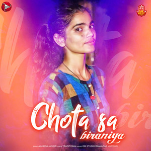Chota Sa Biraniya