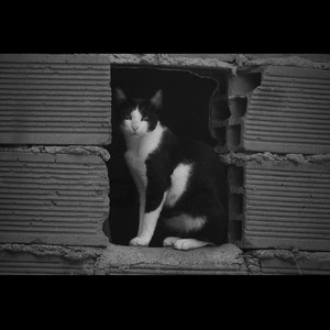 La Razón (feat. Lost Kydz & Nars On the Hood) (Explicit)