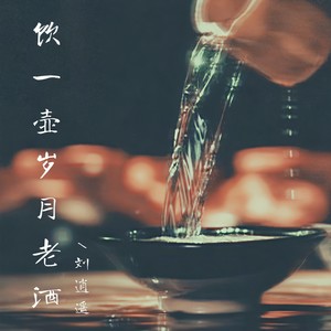 饮一壶岁月老酒 (回忆版)