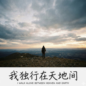 我独行在天地间 (高燃烟嗓版)