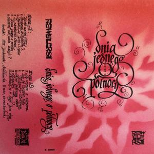 Żaby wśród nocnej ciszy (Wojtek Zwoliński Remix)