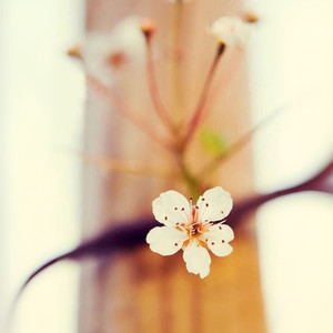 偏爱 (DJ弹鼓版)