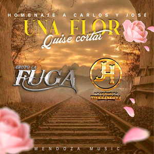 Una flor quise cortar