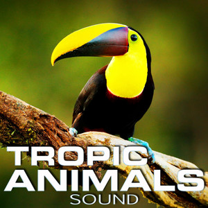 Animal Planet Tropic Nature (Animal Planet Ambience Remix)