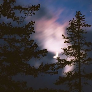 许昌伟 - 暗示分离