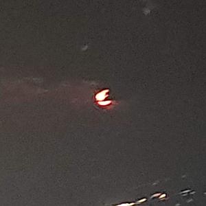 Classy Dawgx (Explicit)