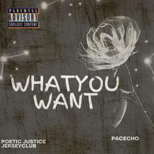 What You Want (feat. PacEcho) (Explicit)