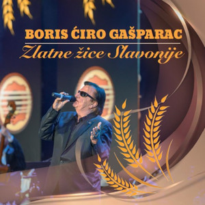 Ej, zbog tebe lutam noću