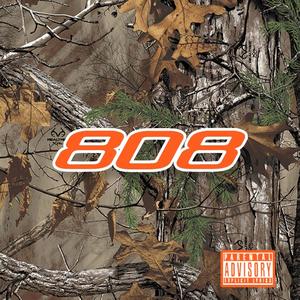 808 (feat. FLEXONWORLD) [Explicit]