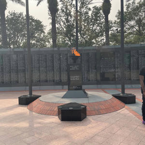 Florida Vibe (feat. Diaa) (Explicit)