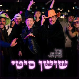 שושן סיטי (feat. Amiran Dvir)