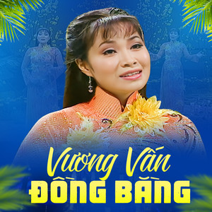 Vương Vấn Đồng Bằng