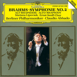 Symphony No. 2 in D Major, Op. 73 - Brahms: Symphony No. 2 in D Major, Op. 73 - 2. Adagio non troppo - L'istesso tempo, ma grazioso (D大调第2号交响曲，作品73 - 第二乐章 不太慢的柔板，速度同前，但优雅的)