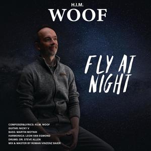 Fly at Night