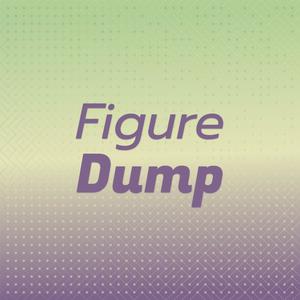 Figure Dump