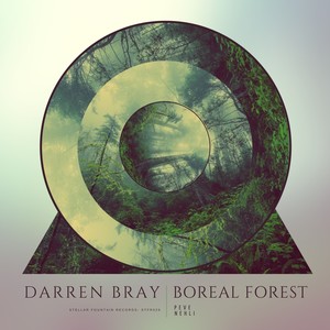 Boreal Forest (Nehli Remix)