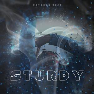 Sturdy (feat. Ian i-Cee & Wasteland Doctor) [Explicit]