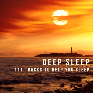 Deep Sleep: 111 Tracks to Help You Sleep, Relaxing Music for Trouble Sleeping, Calming Sounds for Sleep Meditation, Rest & Relaxation