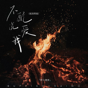 不配说爱我 (DJWH版)