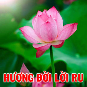 Áo thắm hàng me
