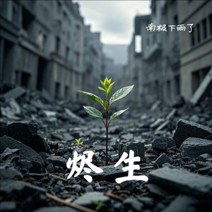 烬生封面