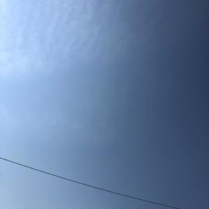 Freestyle (Explicit)