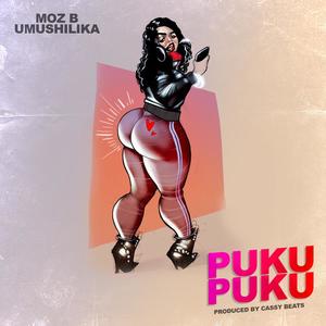Puku Puku