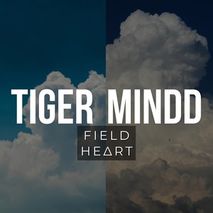 FIELD HEART