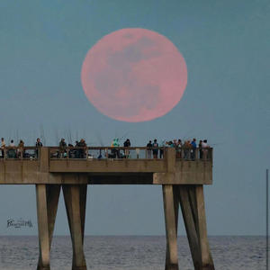 Woodlawn (feat. Bway) (Explicit)