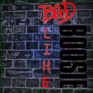 Bad Like Boosie (Explicit)