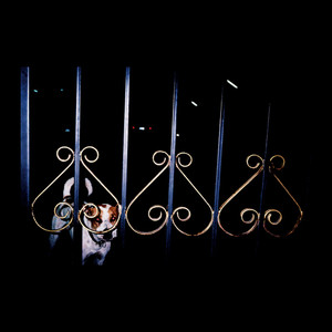 愛のためいき (Remix)