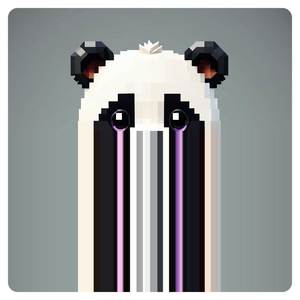 Floppy Disks